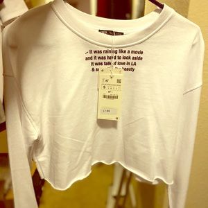 Zara Cropped sweater